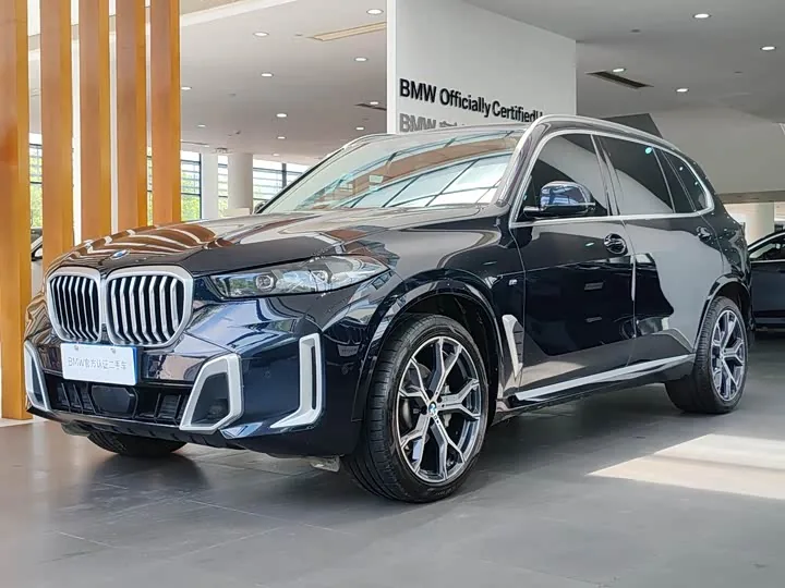 BMW X5 xDrive30Li M Sport