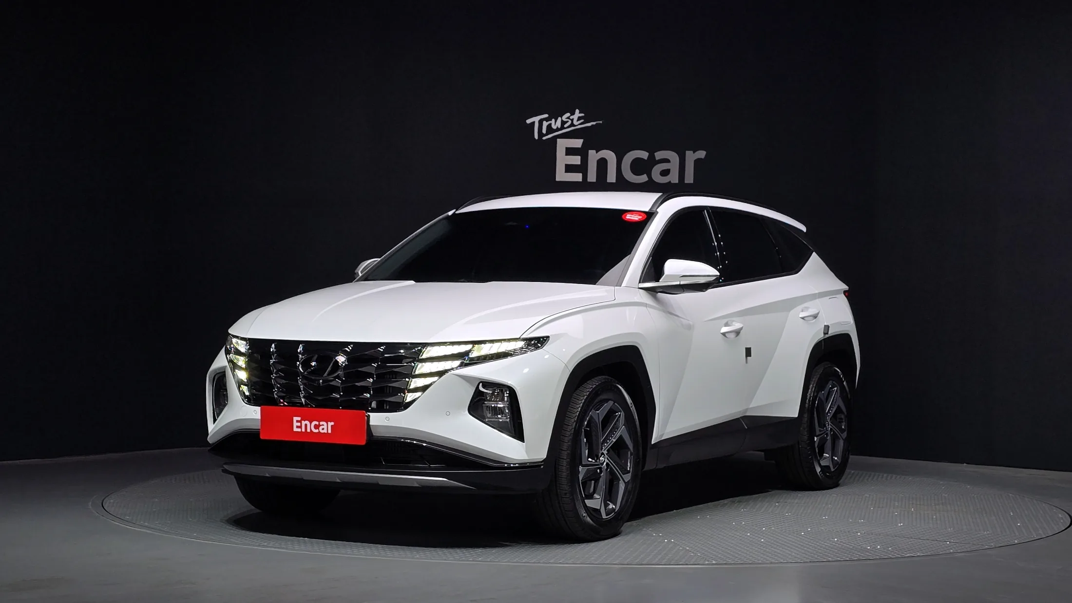 Hyundai Tucson NX4 Gasoline 1.6 Turbo 2WD