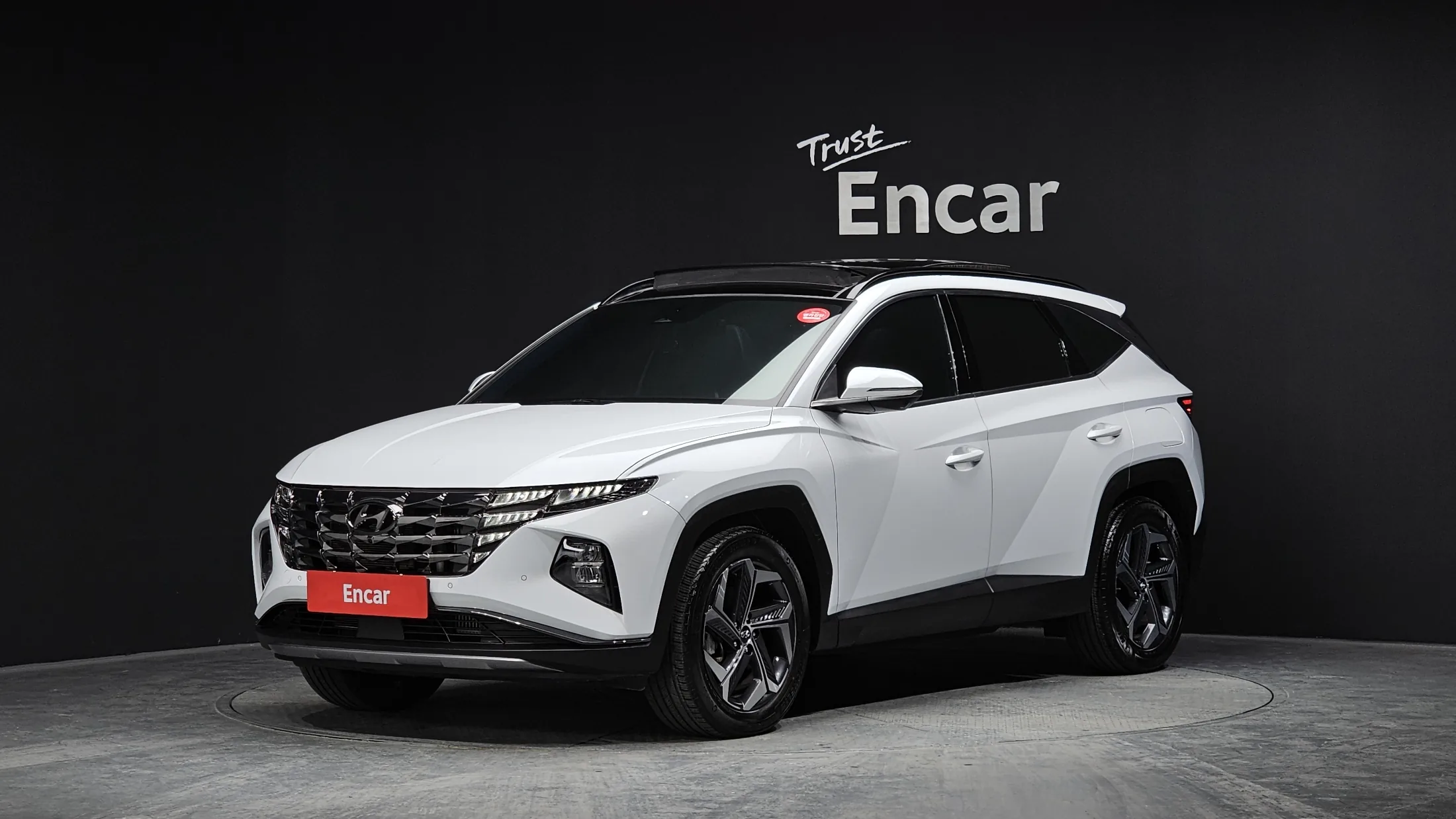 Hyundai Tucson NX4 Gasoline 1.6 Turbo 2WD
