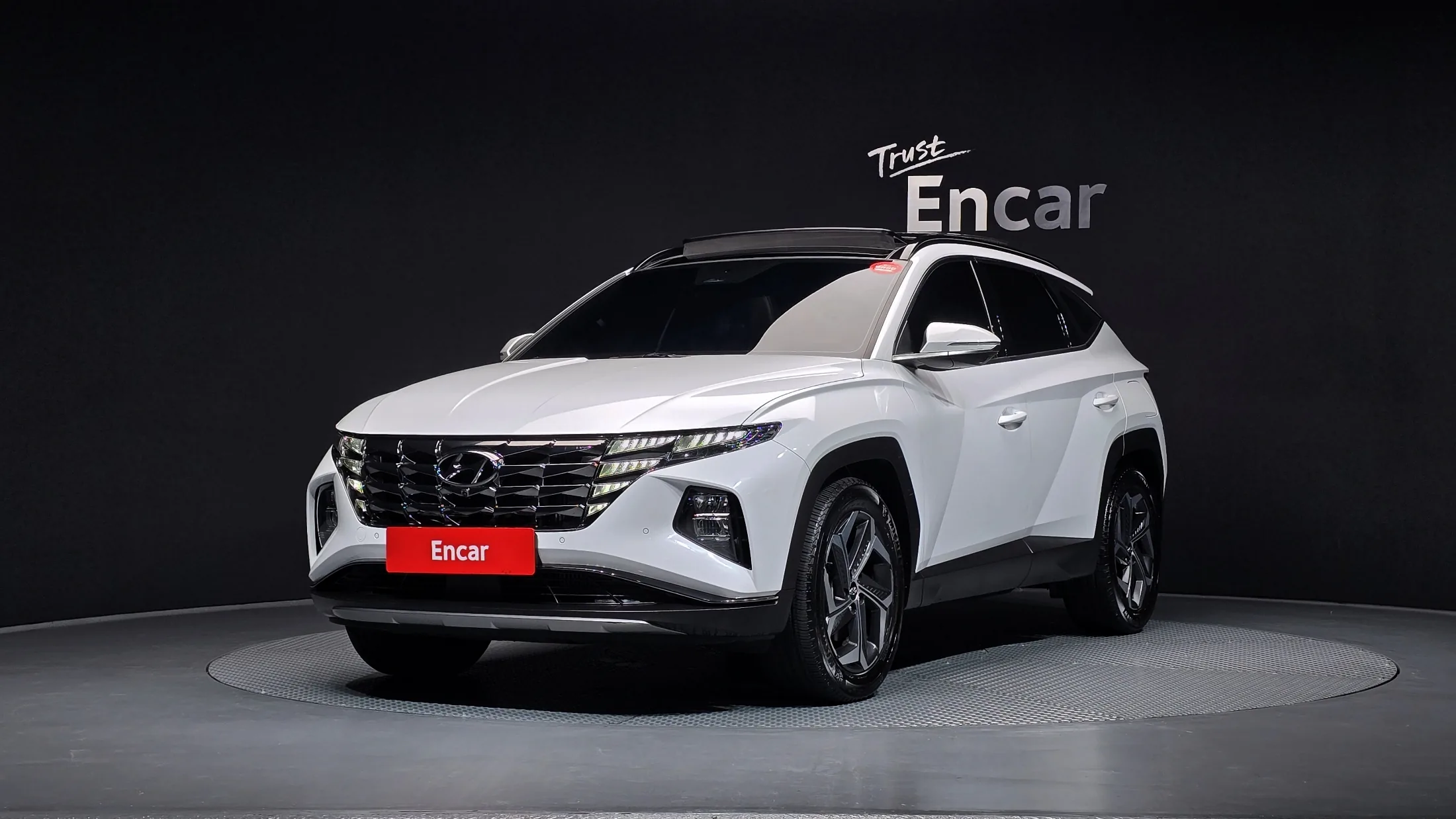 Hyundai Tucson NX4 Gasoline 1.6 Turbo 2WD
