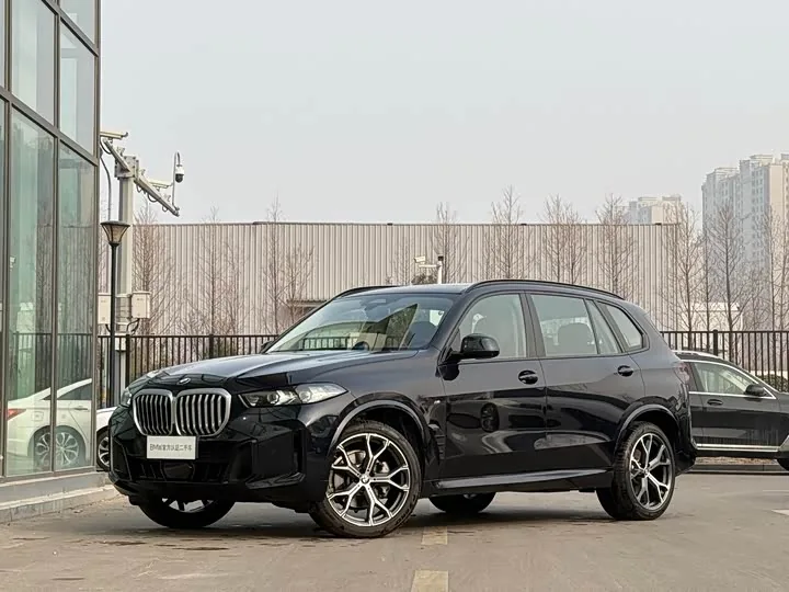 BMW X5 G05 xDrive 30Li Luxury M Sport Night