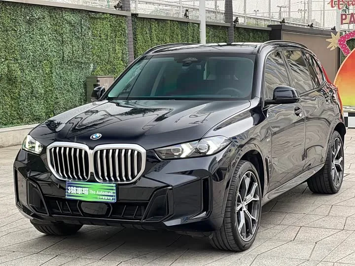 BMW X5 G05 xDrive 30Li M Sport Night Package