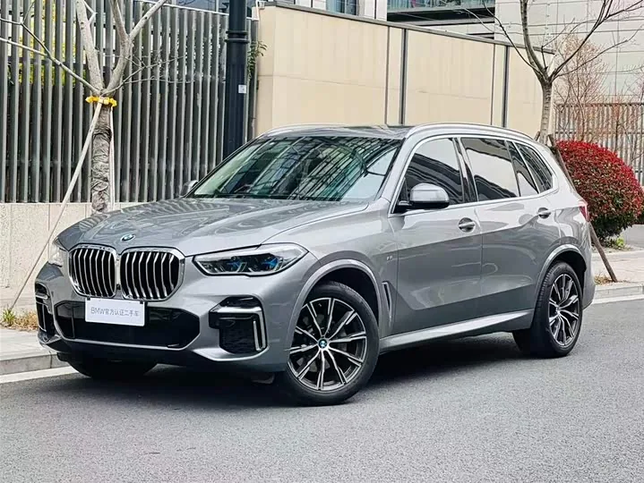 BMW X5 G18 xDrive 30Li M Sport Premium