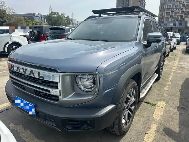 Haval Dagou Bianmu 2024