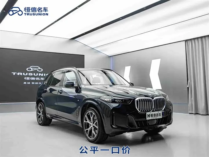 BMW X5 G05 xDrive30Li M Sport Night