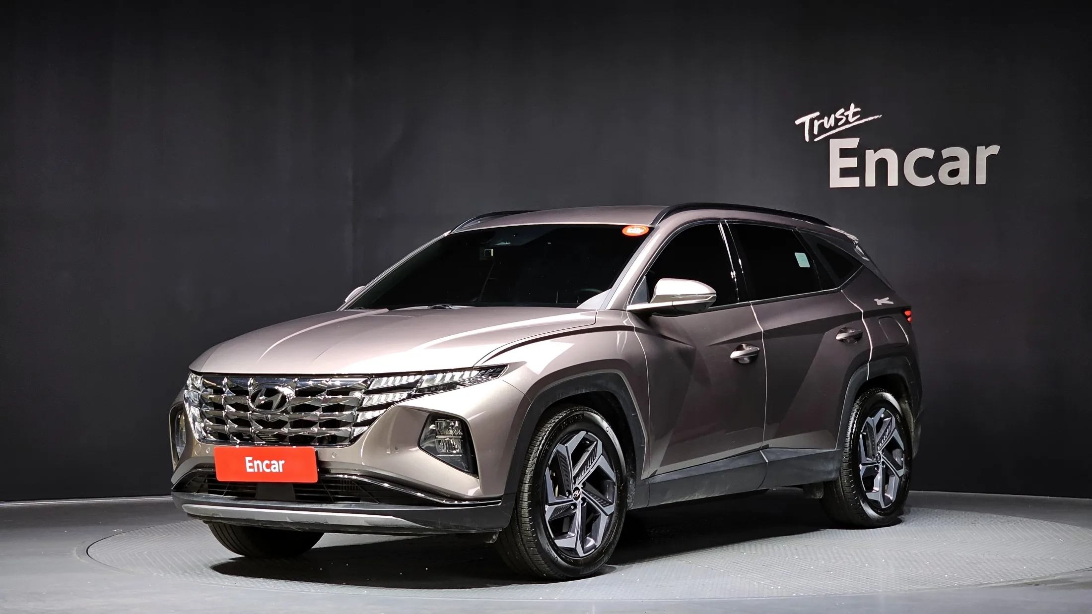 Hyundai Tucson NX4 Gasoline 1.6 Turbo 4WD